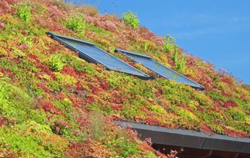 Filleigh living roof systems